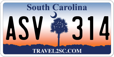 SC license plate ASV314