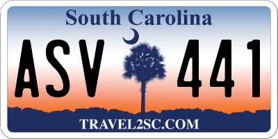 SC license plate ASV441
