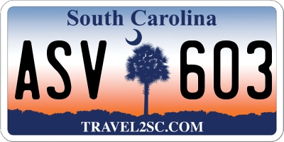 SC license plate ASV603