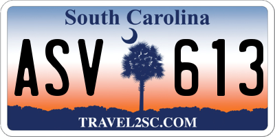 SC license plate ASV613