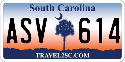 SC license plate ASV614