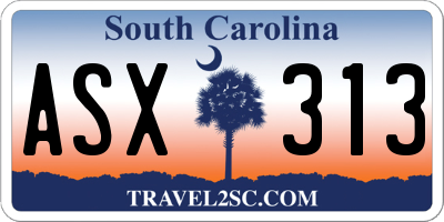 SC license plate ASX313