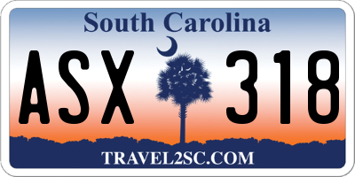 SC license plate ASX318