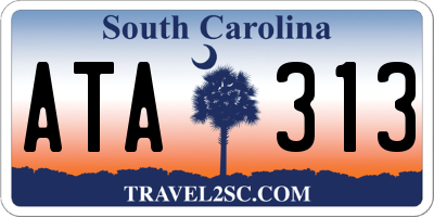 SC license plate ATA313