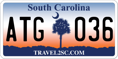 SC license plate ATG036