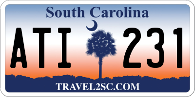 SC license plate ATI231