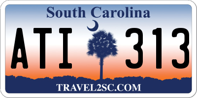 SC license plate ATI313