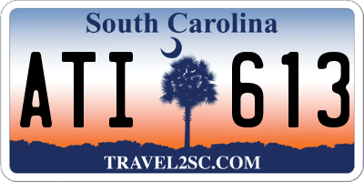 SC license plate ATI613