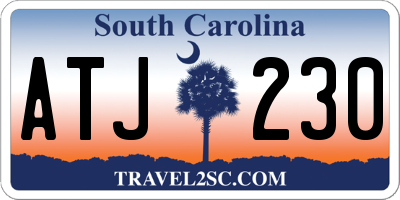 SC license plate ATJ230