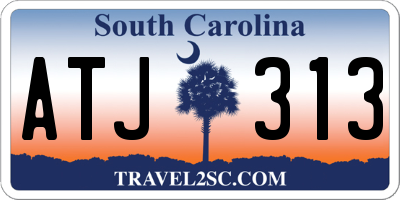 SC license plate ATJ313