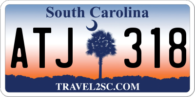SC license plate ATJ318