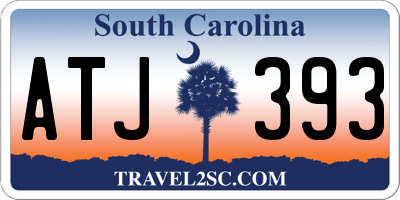 SC license plate ATJ393