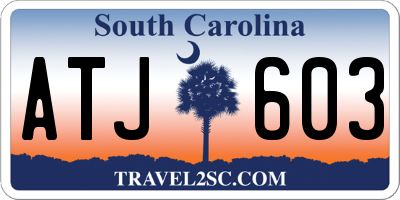SC license plate ATJ603