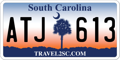 SC license plate ATJ613