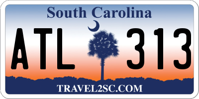 SC license plate ATL313
