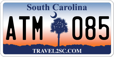 SC license plate ATM085