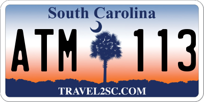 SC license plate ATM113