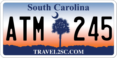 SC license plate ATM245