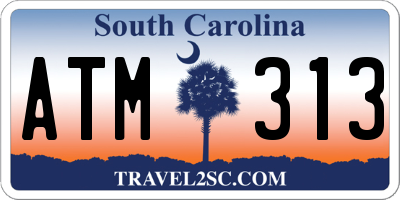 SC license plate ATM313