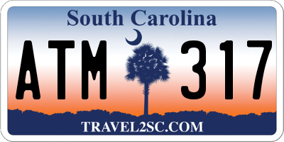 SC license plate ATM317