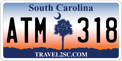 SC license plate ATM318