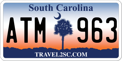 SC license plate ATM963