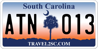 SC license plate ATN013