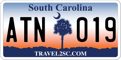 SC license plate ATN019