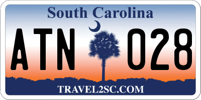 SC license plate ATN028
