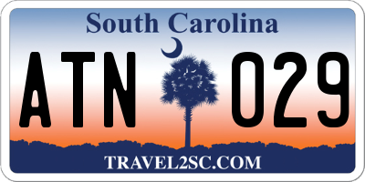 SC license plate ATN029