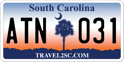 SC license plate ATN031