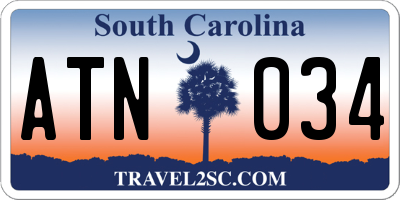 SC license plate ATN034