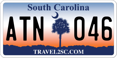 SC license plate ATN046