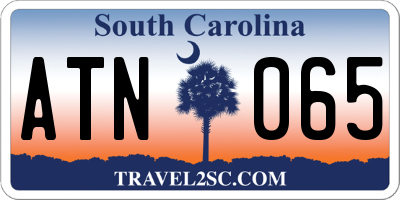 SC license plate ATN065