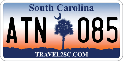 SC license plate ATN085