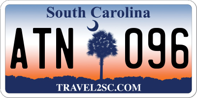 SC license plate ATN096