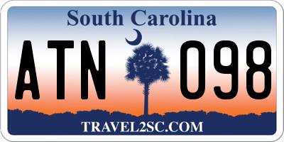 SC license plate ATN098