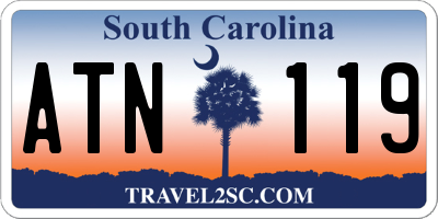 SC license plate ATN119