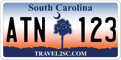 SC license plate ATN123