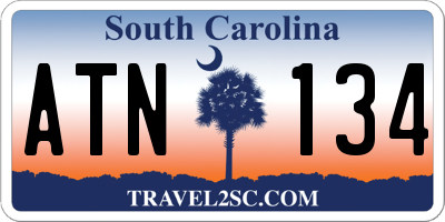 SC license plate ATN134