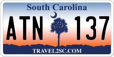 SC license plate ATN137