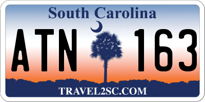 SC license plate ATN163