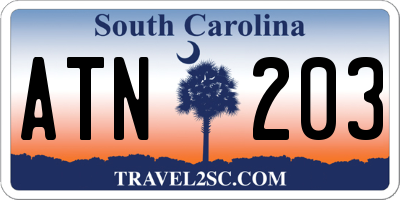 SC license plate ATN203