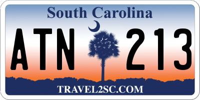 SC license plate ATN213