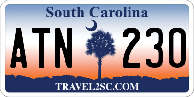 SC license plate ATN230
