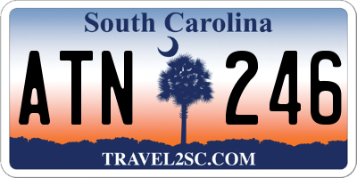SC license plate ATN246