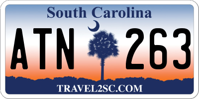 SC license plate ATN263