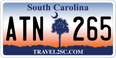 SC license plate ATN265