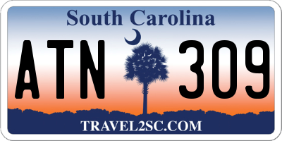 SC license plate ATN309