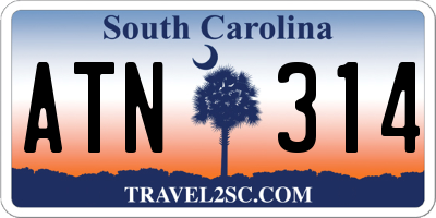 SC license plate ATN314